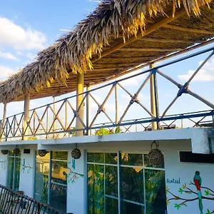 La Casa De Aves Aparthotel Bacalar